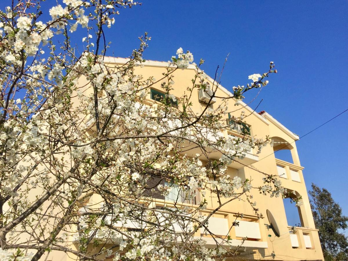 Sobe Bosiljka Hotel Нин Екстериор снимка